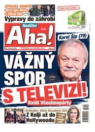 Časopis Nedělní Aha! - 21/2025 - CZECH NEWS CENTER a. s.